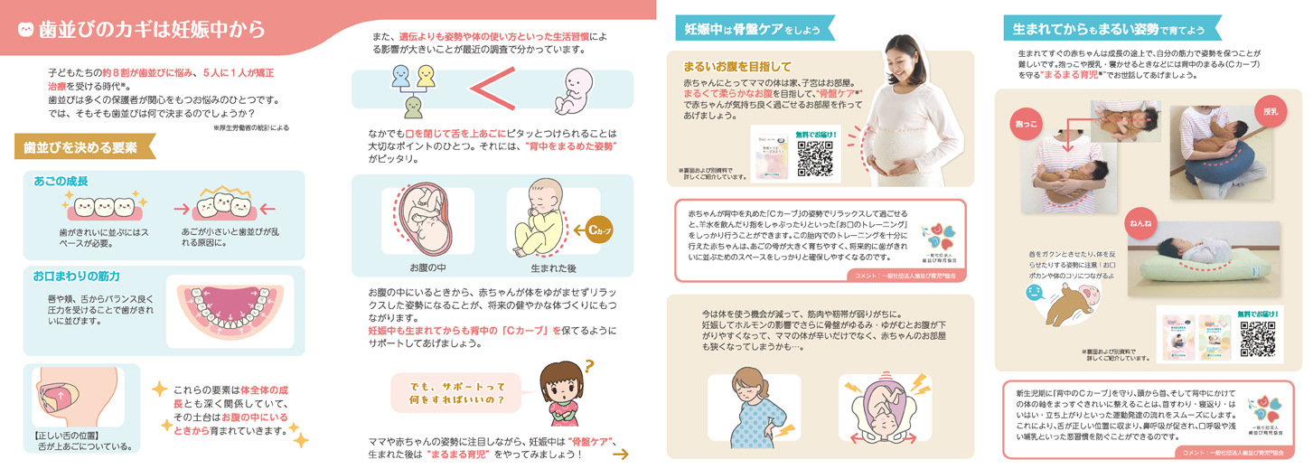 チラシ中面　お腹の中から始まっている きれいな歯並びへ育てる子育てのヒント 